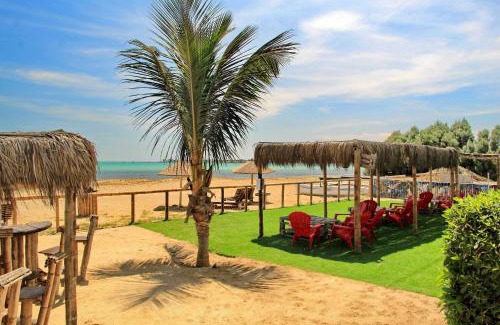Pisco Hotel | Bamboo Paracas Hotel