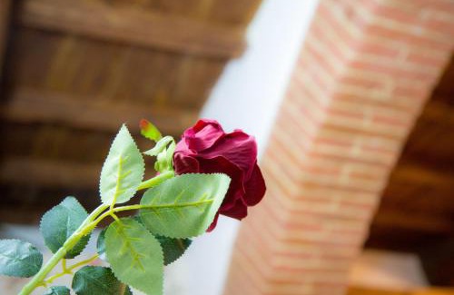 Isolotto Apartment | Bandinelli House