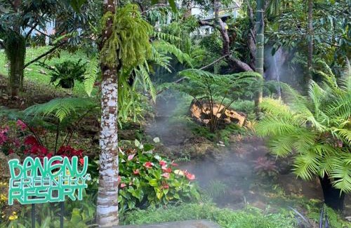 Takua Thung Resort | Bangnu Greenery Resort
