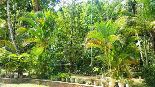 Rumassala House | Banksia Villa