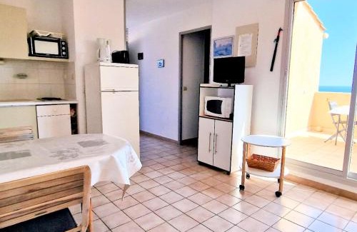 Banyuls-sur-Mer Apartment | BANYULS-SUR-MER: Appartement avec Terrasse, Clim, Parking et Animaux acceptés - FR-1-309-53