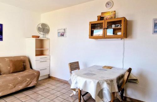 Banyuls-sur-Mer Apartment | BANYULS-SUR-MER: Appartement avec Terrasse, Clim, Parking et Animaux acceptés - FR-1-309-53
