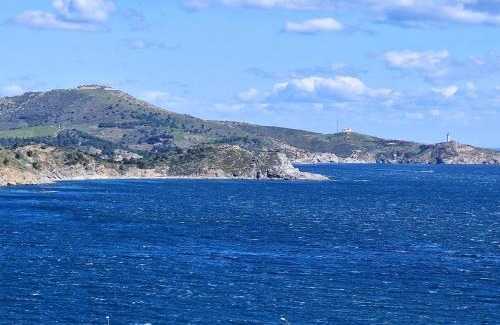 Banyuls-sur-Mer Apartment | BANYULS-SUR-MER, T2 avec WIFI et parking - FR-1-309-30