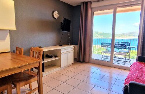 Banyuls-sur-Mer Apartment | BANYULS-SUR-MER, T2 avec WIFI et parking - FR-1-309-30