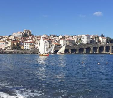 Banyuls-sur-Mer Apartment | Banyuls vu d'en haut : appartement T3 spacieux