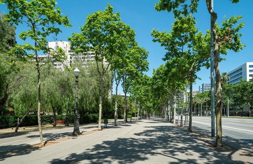 Sarria Apartment | Barcelona C. de Fontcoberta | Economy Double Room