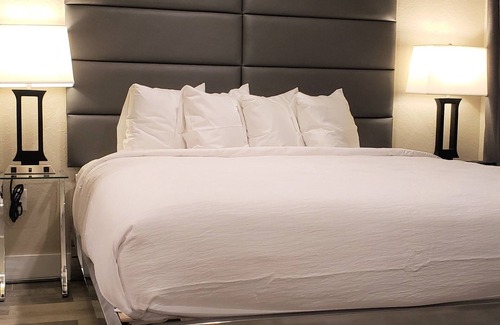 Madeira Beach Hotel | Barefoot Beach Club