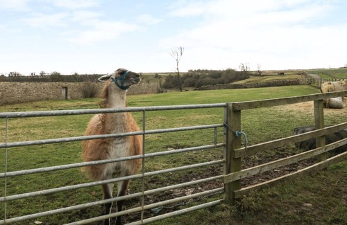 Darlington Cottage | BARFORTH HALL COTTAGE, pet friendly, with hot tub in Gainford