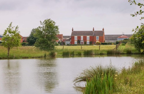 Louth Cottage | Barn Owl