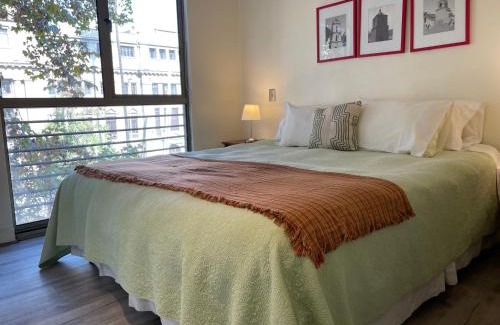 Lastarria Apartment | Barrio Lastarria, Excelentes Apartamentos - Sofia Camilla Propiedades