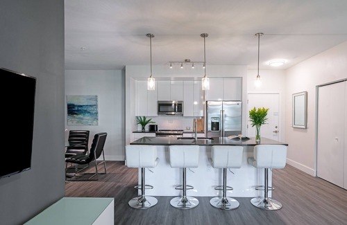 Port Tampa City Apartment | Barsala l Premier 2BD with BBQ/Picnic Area