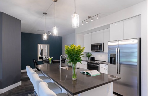 Port Tampa City Apartment | Barsala l Premier 2BD with BBQ/Picnic Area