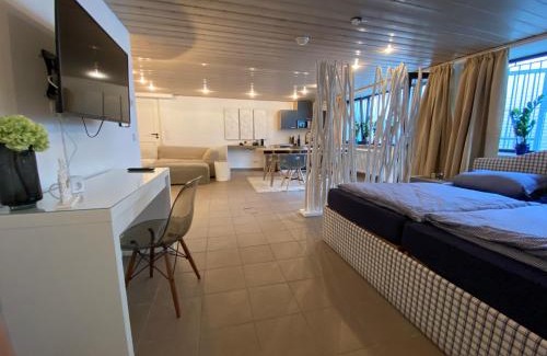 Toenisvorst Apartment | basement 77