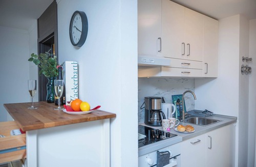 Loschwitz Apartment | Basement apartment on the Elbe slope with terrace