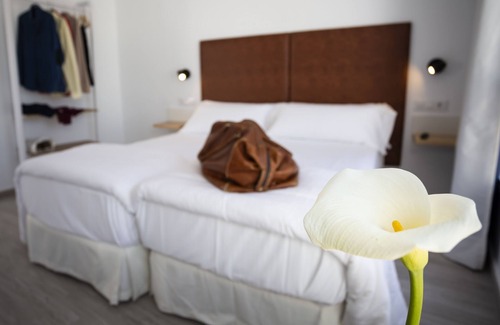 Historical Center Hotel | Basic Hotel Sevilla Catedral