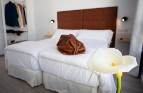 Historical Center Hotel | Basic Hotel Sevilla Catedral