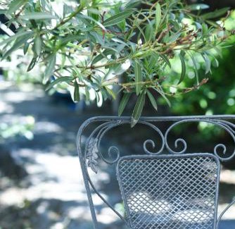 East Mani House | Basil Tree Stonehouse