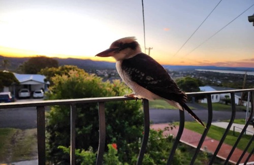 Bateau Bay House | Bateau Bay Family Escape - Magical sunset views