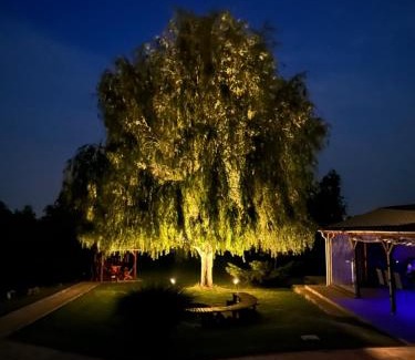 Battonya House | Battonya House