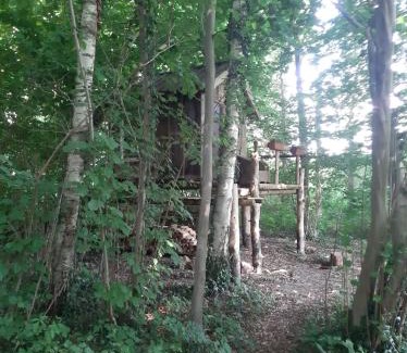 Ladbergen Other | Baumhausnächte