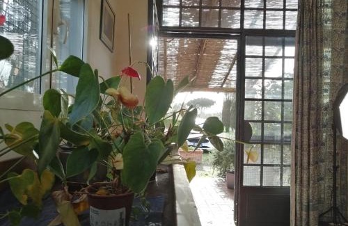 Castagneto Carducci Bed & Breakfast | BB Villa Bolgheri Mare