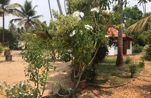 Alappuzha Villa | Beach accommodation and 3hrs Backwater cruise