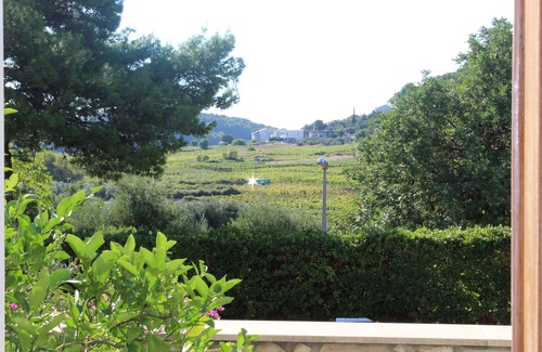 Vela Glavica Apartment | Beach Apartment Jakobus