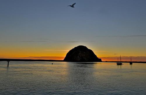 Morro Bay Hotel | Beach Bungalow Inn and Suites