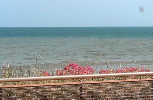 El Palmar Apartment | Beach Front One Room Apartment