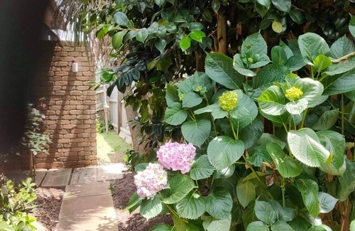 Ocean Grove Villa | Beach Getaway Ocean Grove 1 bedroom Self Contained Unit