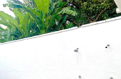 Santa Cruz Other | Beach House in the Jungle High Speed Internet, Wifi, AC