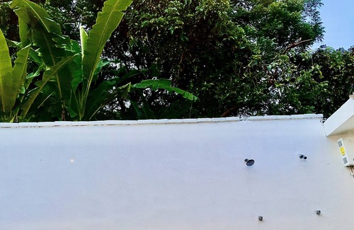 Santa Cruz Other | Beach House in the Jungle High Speed Internet, Wifi, AC