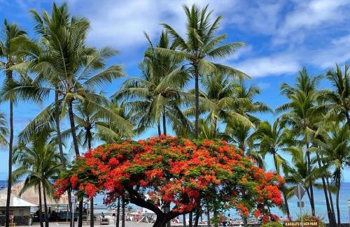 Kahaluu Bay Apartment | Beach Villas Kahaluu on Kona Coast