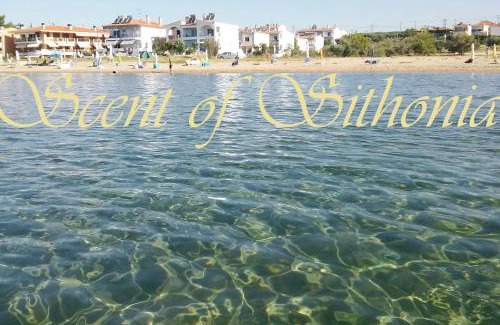 Gerakini House | Beachfront SCENT OF SITHONIA with pool, Gerakini, Halikidiki