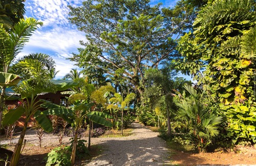 Puerto Viejo de Talamanca Ski Chalet | Beachfront Villa Starfish with AC & Pool
