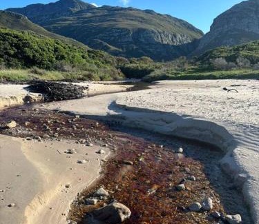 Betty's Bay House | Beachside cottage with breathtaking views