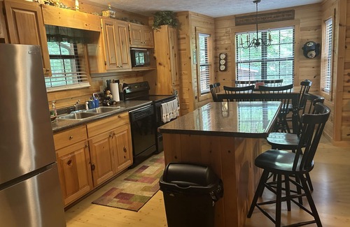 Blairsville Cabin | Bear-A-Dise- A beautiful mountain cabin-sleeps 12, hot tub, game room & firepit.