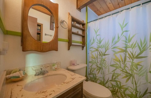 Big Bear City House | Bear Country Cabin