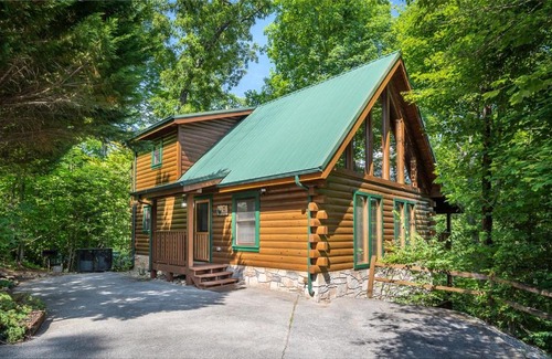 Black Bear Falls House | Bear Essentials home