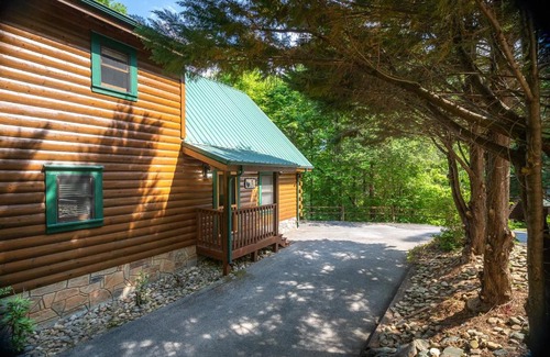 Black Bear Falls House | Bear Essentials home