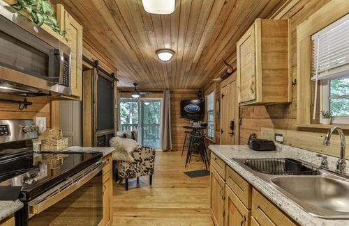 Ellijay Cabin | Bear Necessities | Ellijay, GA