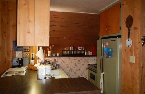 Bear Valley Cabin | Bear Valley family fun in the trees