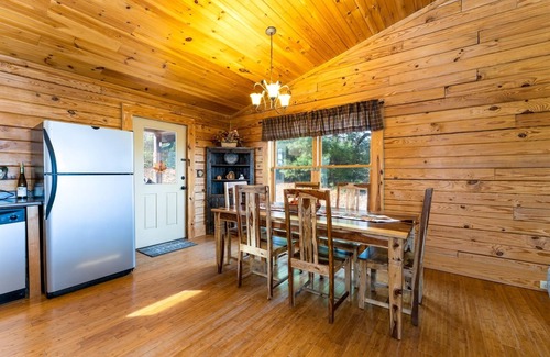 Hendersonville Cabin | Bearadise Log Cabin | 2 Bed, 2 Bath