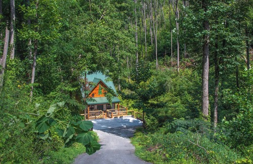 Chalet Village North Cabin | Bearly Hidden by Jackson Mountain Rentals