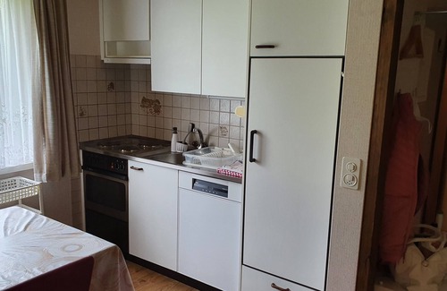 Central Interlaken Apartment | Beatenberg, large, quiet 1 room apartment Wi-Fi/WLAN, balcony, view