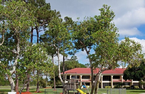 Sebring Apartment | Beautiful 1 bedroom unit at resort, sleeps 4