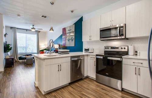 Riverside Apartment | Beautiful 1BR in Riverside Austin 3725