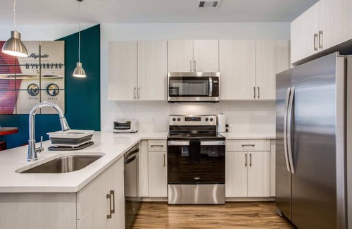 Riverside Apartment | Beautiful 1BR in Riverside Austin 3725