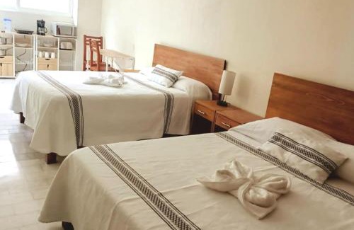 Oaxaca House | Beautiful 2BR, 1BA parking