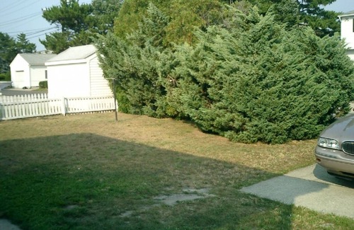 South End House | Beautiful 3BR 1.5 BA SINGLE HOME!